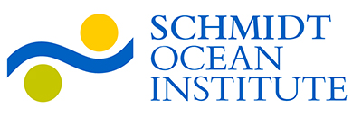 schmidt institute logo 400